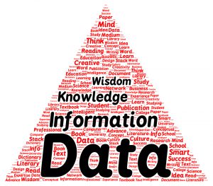 Data Information Knowledge Wisdom